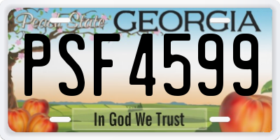 GA license plate PSF4599