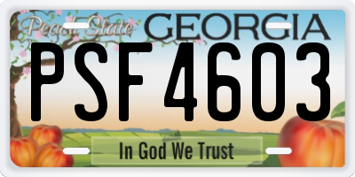 GA license plate PSF4603