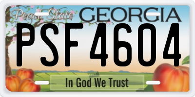 GA license plate PSF4604