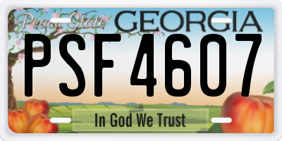 GA license plate PSF4607
