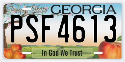 GA license plate PSF4613