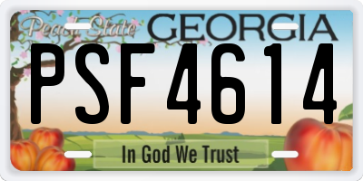 GA license plate PSF4614