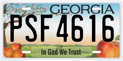 GA license plate PSF4616