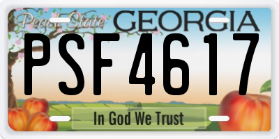 GA license plate PSF4617