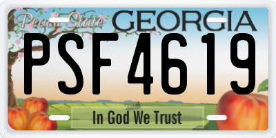 GA license plate PSF4619