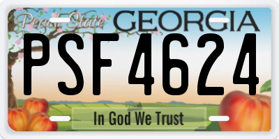 GA license plate PSF4624