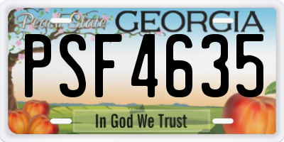 GA license plate PSF4635