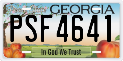 GA license plate PSF4641