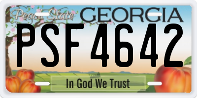 GA license plate PSF4642