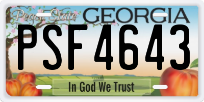GA license plate PSF4643