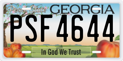 GA license plate PSF4644