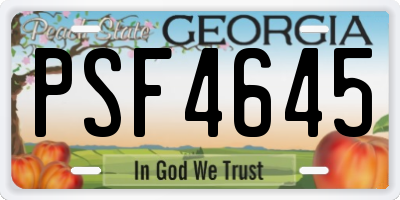 GA license plate PSF4645