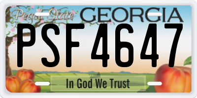 GA license plate PSF4647