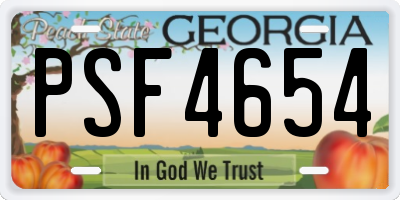 GA license plate PSF4654