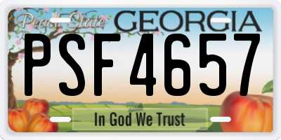 GA license plate PSF4657