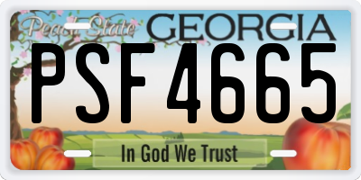 GA license plate PSF4665