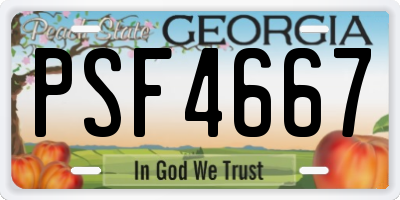 GA license plate PSF4667