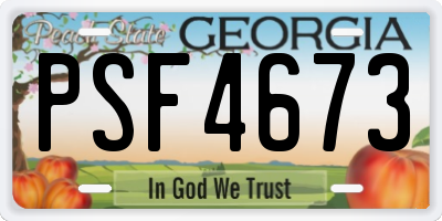 GA license plate PSF4673