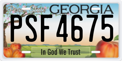 GA license plate PSF4675