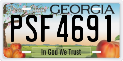GA license plate PSF4691