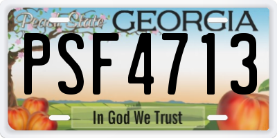GA license plate PSF4713