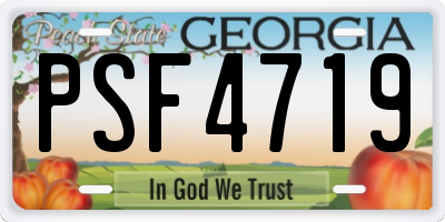 GA license plate PSF4719