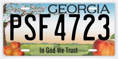 GA license plate PSF4723
