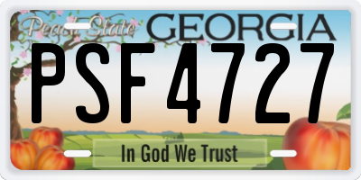 GA license plate PSF4727