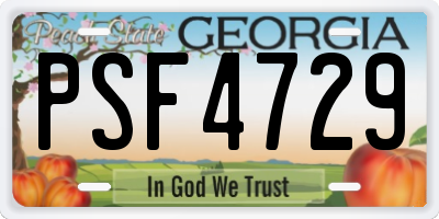GA license plate PSF4729