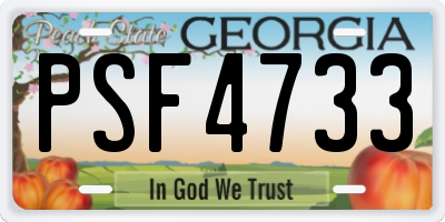 GA license plate PSF4733