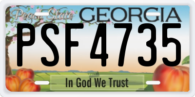GA license plate PSF4735