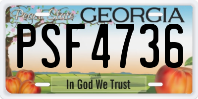 GA license plate PSF4736