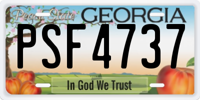 GA license plate PSF4737