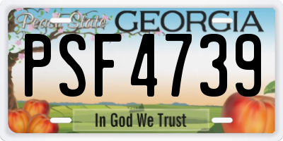 GA license plate PSF4739