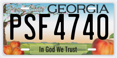 GA license plate PSF4740
