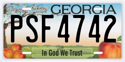 GA license plate PSF4742