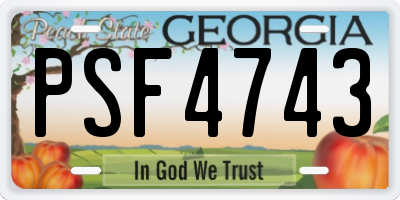 GA license plate PSF4743
