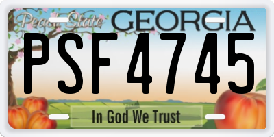 GA license plate PSF4745