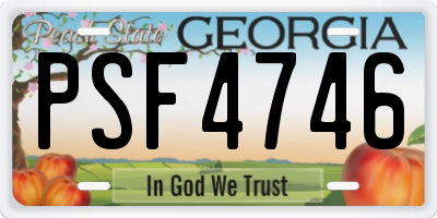GA license plate PSF4746