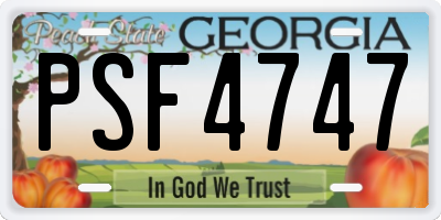 GA license plate PSF4747