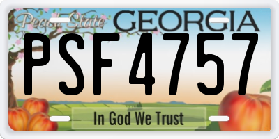 GA license plate PSF4757
