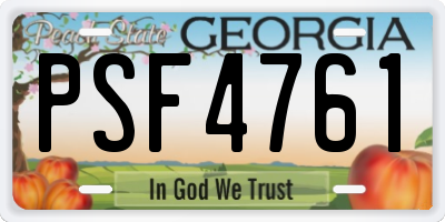 GA license plate PSF4761