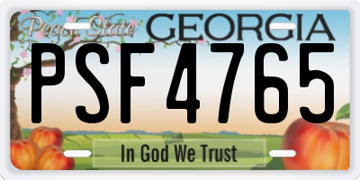 GA license plate PSF4765
