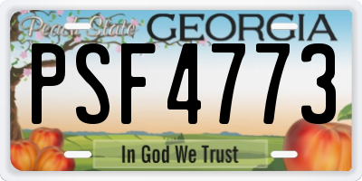 GA license plate PSF4773