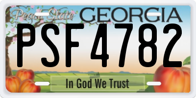 GA license plate PSF4782