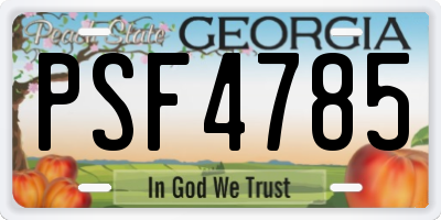 GA license plate PSF4785