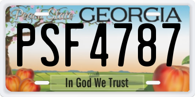 GA license plate PSF4787