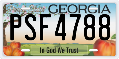 GA license plate PSF4788