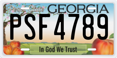 GA license plate PSF4789