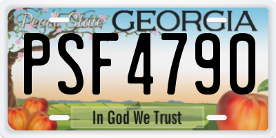 GA license plate PSF4790